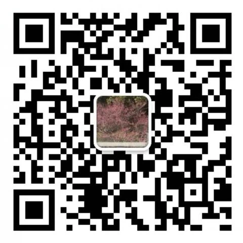 WeChat:8615355053737